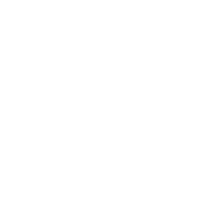 us flag icon