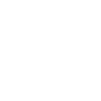 passport icon